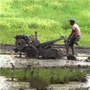 15hö 20hp dísilvél gangandi dráttarvél með stýrishjólum á tveimur hjólum til Indlands