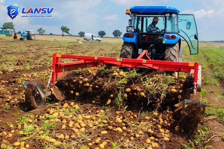 OEM-Potato-Harvesters-Spare-Parts-Rubber-Conveyor-Belts-Chains-Conveyor-Webs1 OEM-Potato-Harvesters-Spare-Parts-Rubber-Conveyor-Belts-Chains-Conveyor-Webs1